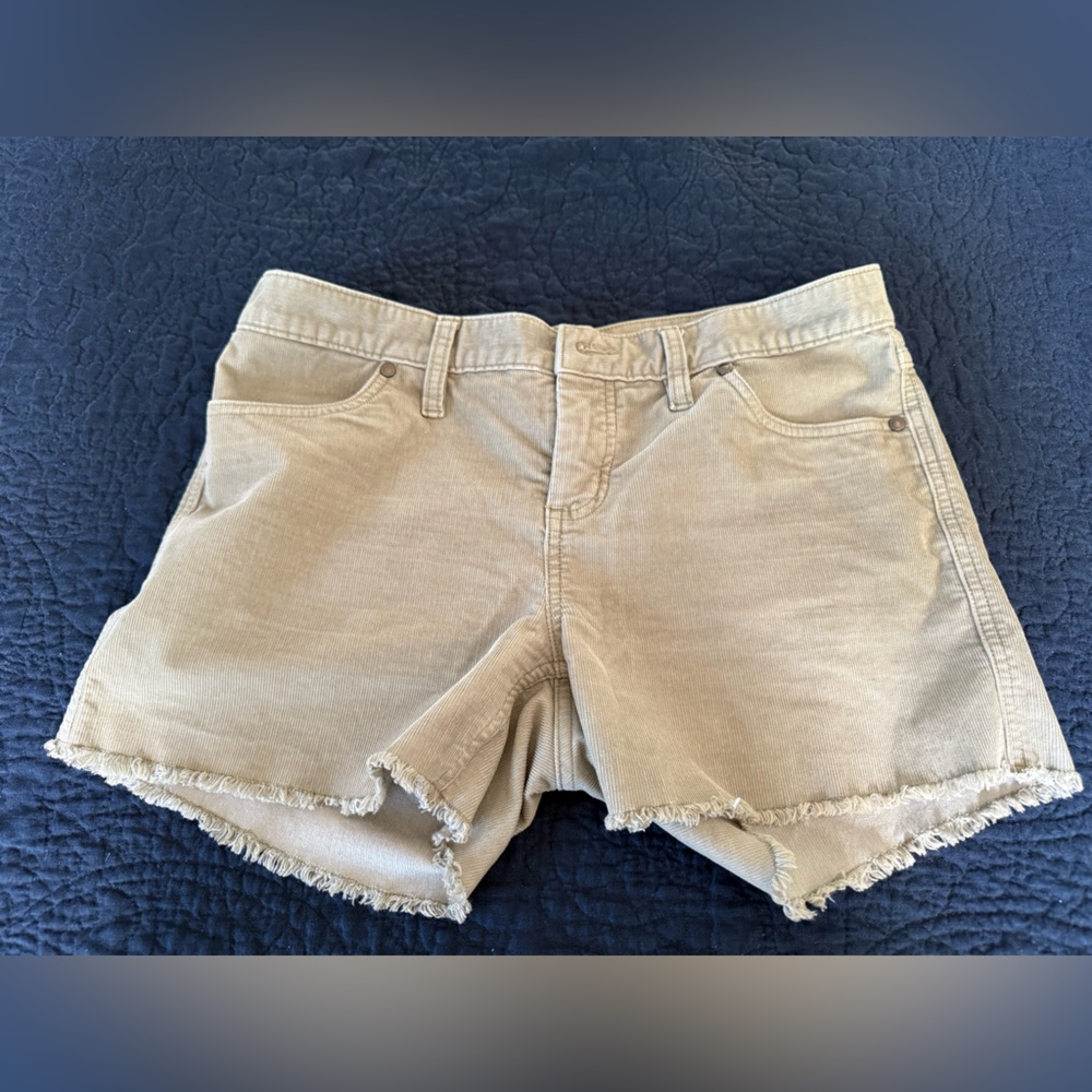 Carve Designs Moss GreenPants
